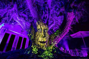 Guests explore Night Garden