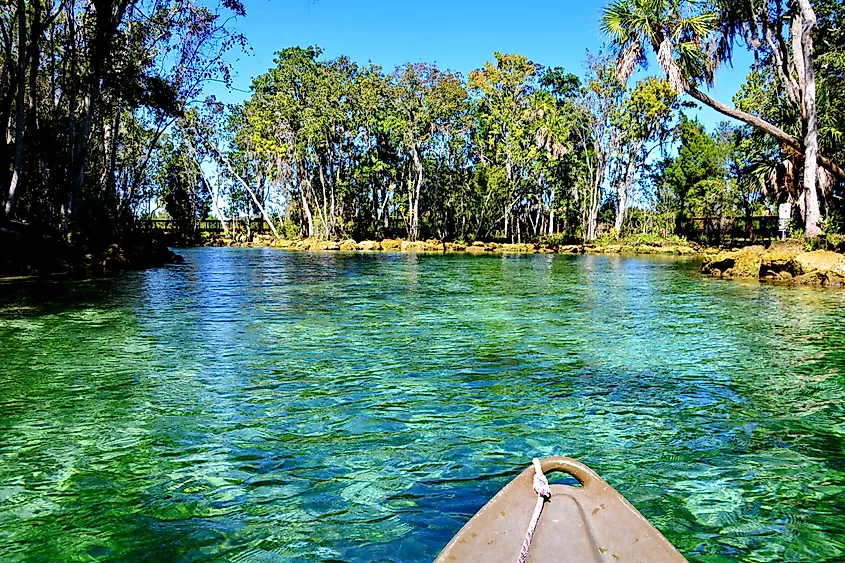 Three Sisters Springs in Crystal River, Florida