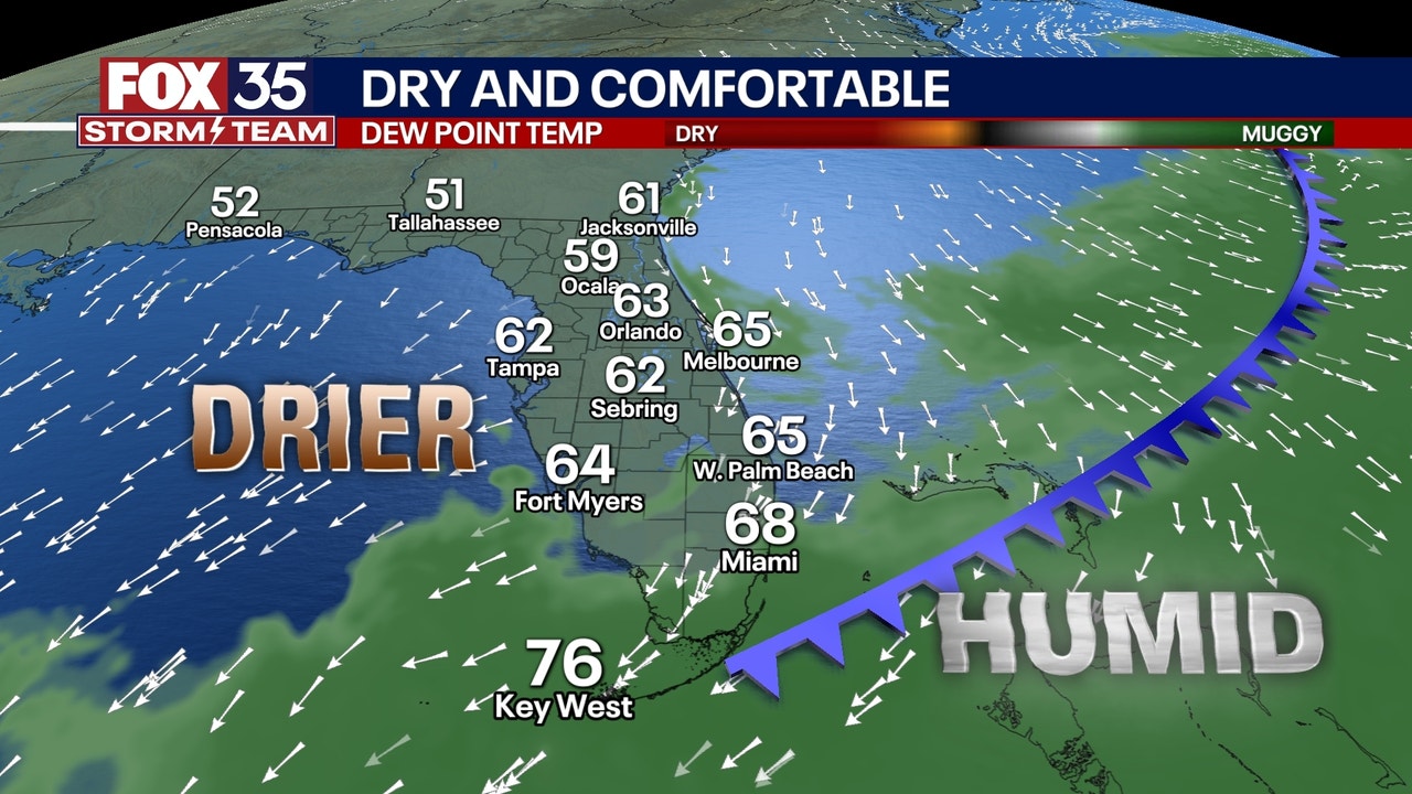 Orlando weather: Sunny skies, cool temperatures