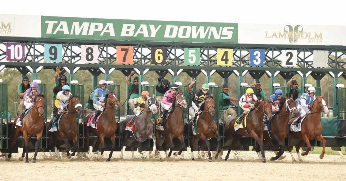 Tampa Bay Derby, Hillsborough Stakes Lead Tampa Bay Downs Stakes Schedule - Paulick Report