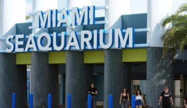 The cherished and controversial Miami Seaquarium closes its doors