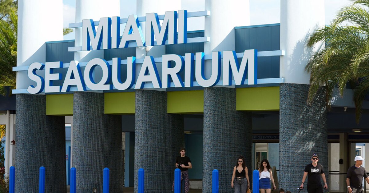 The cherished and controversial Miami Seaquarium closes its doors