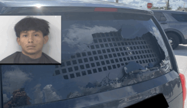 19-year-old arrested after rock thrown at ICE vehicle window 