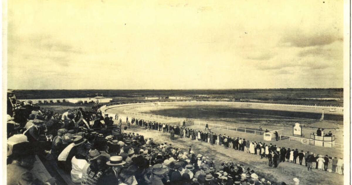 Feathers and forgotten races: The flamingos who never left Hialeah