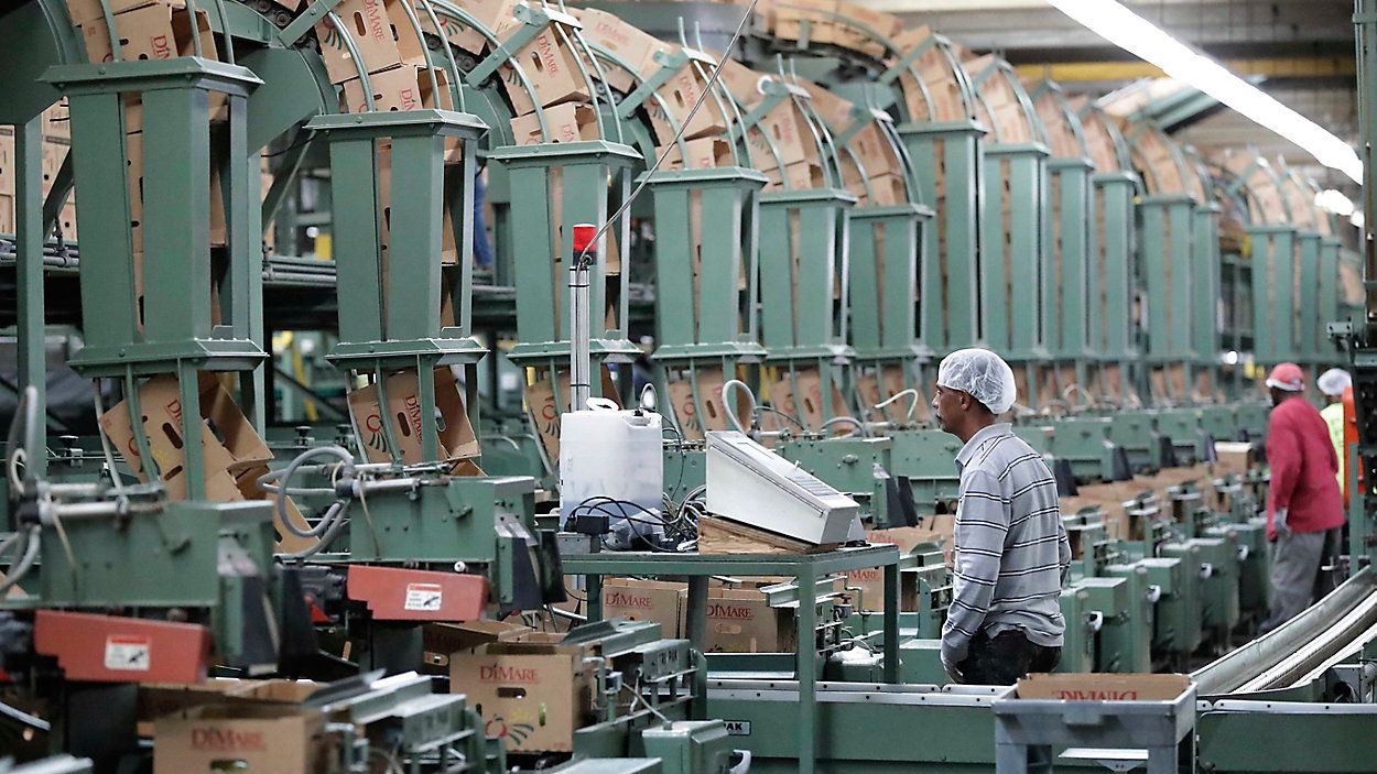 A Florida bill mandating that private companies verify each new hire's eligibility to work in the U.S. is worrying farmers in the agriculture-rich state. The growers complain they are struggling to find farm workers as the unemployment rate reaches record lows. (AP Photo/Wilfredo Lee)