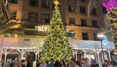 Miami Downtown Development Authority kicks off holiday season with Christmas tree lighting - WSVN 7News | Miami News, Weather, Sports