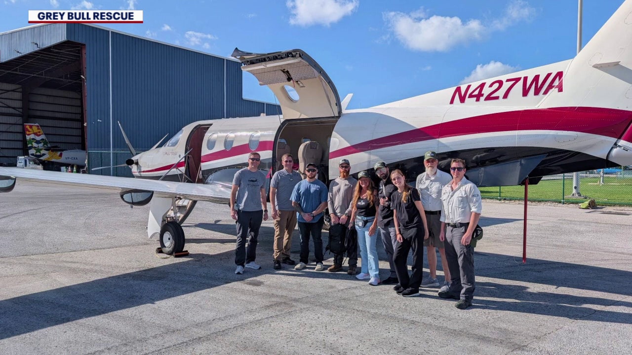 Tampa non-profit sends two rescue flights to Jamaica after Hurricane Melissa to get Americans home