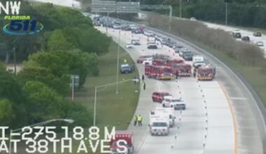 Traffic backed up on I-275 southbound after car fire: FDOT