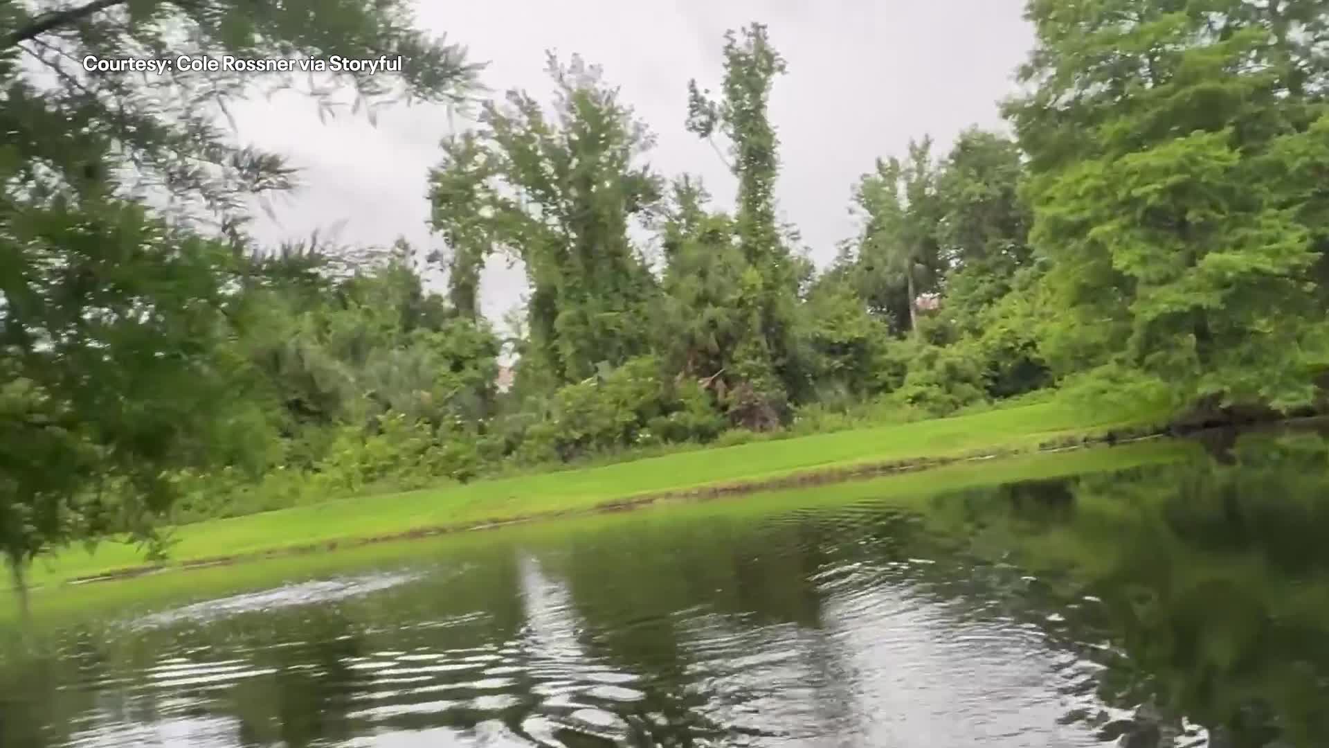 Gator charges at Florida fisherman