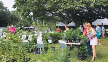 Edison and Ford Winter Estates to host Autumn Garden Festival on Nov. 22-23 | News, Sports, Jobs