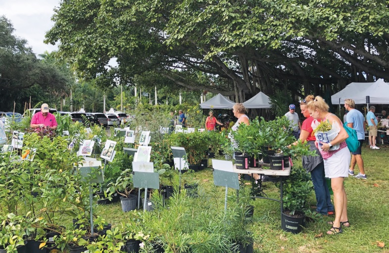 Edison and Ford Winter Estates to host Autumn Garden Festival on Nov. 22-23 | News, Sports, Jobs