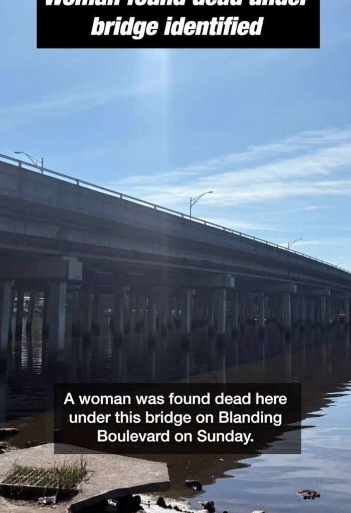 Family identifies woman found dead under Blanding Boulevard bridge