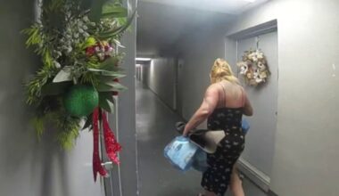 Hialeah woman accused of attacking boyfriend and cleaning up scene – NBC 6 South Florida