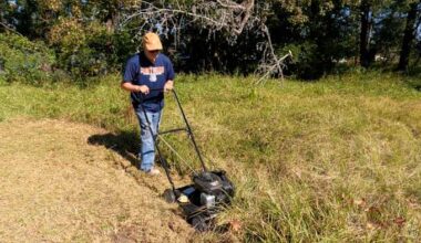 Furloughed federal worker steps in to help clean up neglected Northwest Jacksonville cemetery
