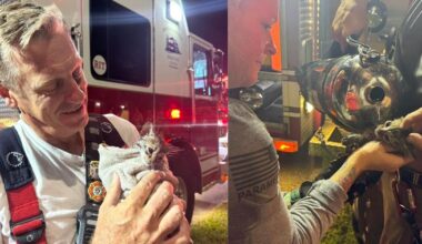 Cape Coral blaze critically injures 1, pets missing after rescue | Lee County