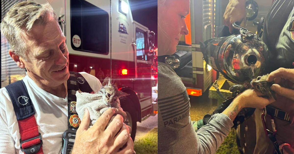 Cape Coral blaze critically injures 1, pets missing after rescue | Lee County