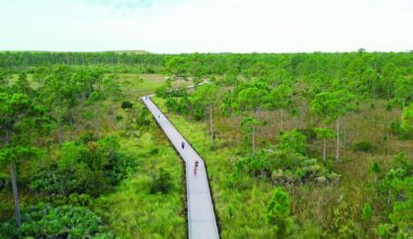Mattamy Homes kicks off Trick-or-Trot 5K at Newfield’s KC Trails | Martin County