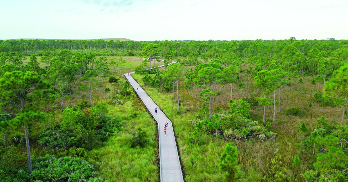 Mattamy Homes kicks off Trick-or-Trot 5K at Newfield’s KC Trails | Martin County