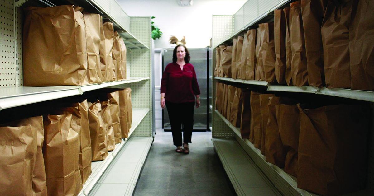 Treasure Coast neighbors step up as SNAP shutdown squeezes families |