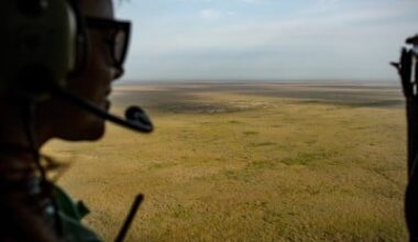 FAU Secures $1.4 Million Grant to Save Wildlife in Florida Everglades