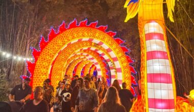 Colors of the Wild Returns to Jacksonville Zoo Select Nights November through February