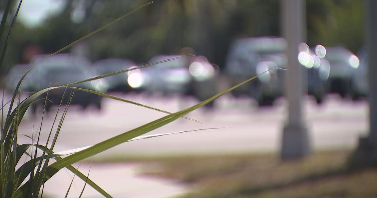 FHP finds cars involved in deadly hit and run | Lee County