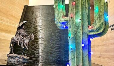 James Museum to host Yule Cactus Lighting with local artist Chad Mize | Diversions