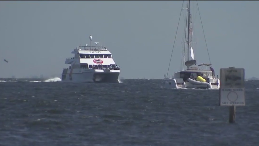 The future of the Cross Bay Ferry