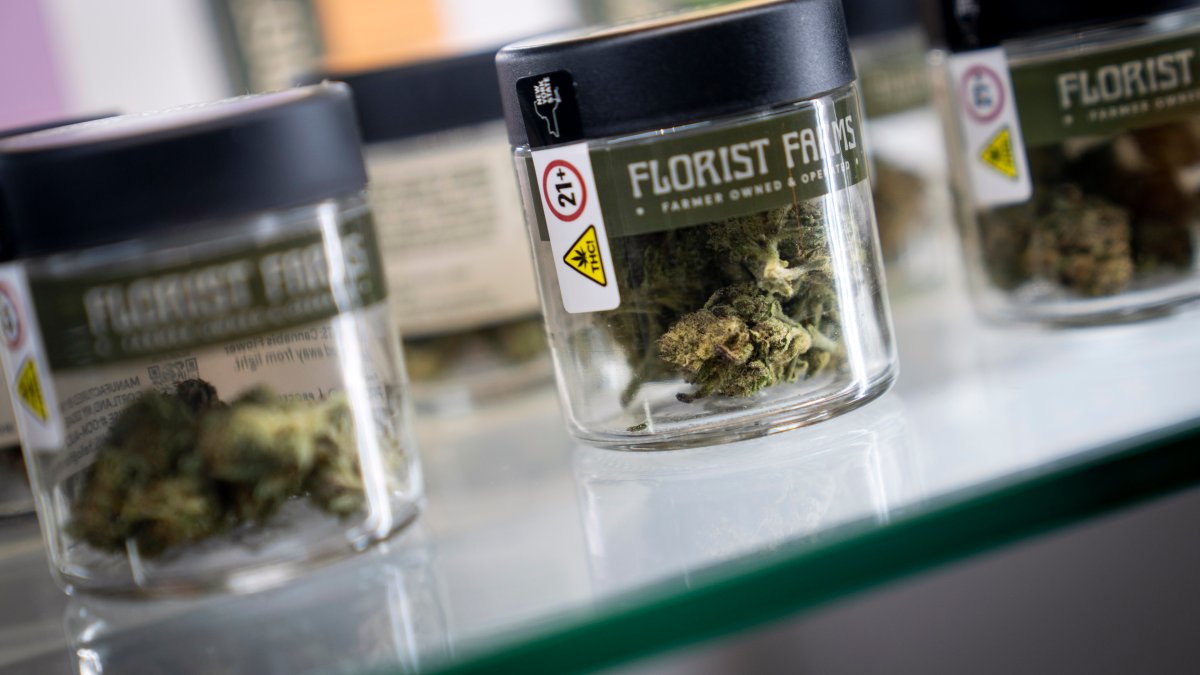 Florida takes steps for marijuana question to be in next year’s ballot – NBC 6 South Florida