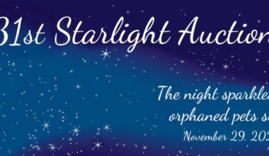 Animal Refuge Center to hold annual Starlight Auction fundraiser | News, Sports, Jobs
