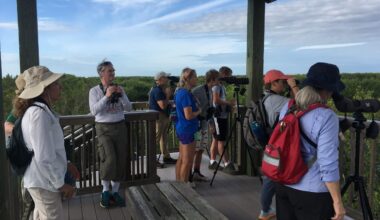 Birding with Biologists Workshop – (especially beginners!)