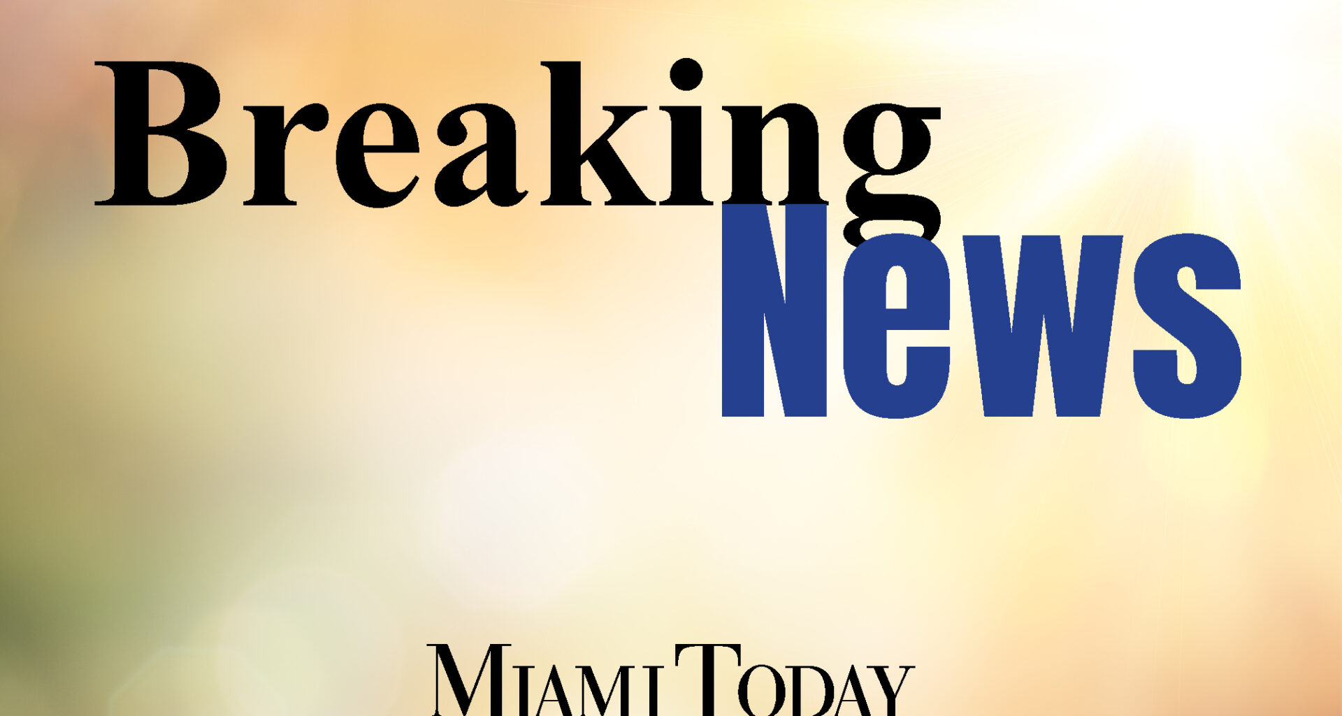 Review may put some county boards on chopping block