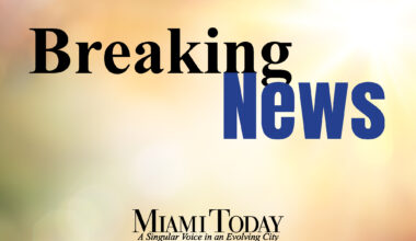 Review may put some county boards on chopping block