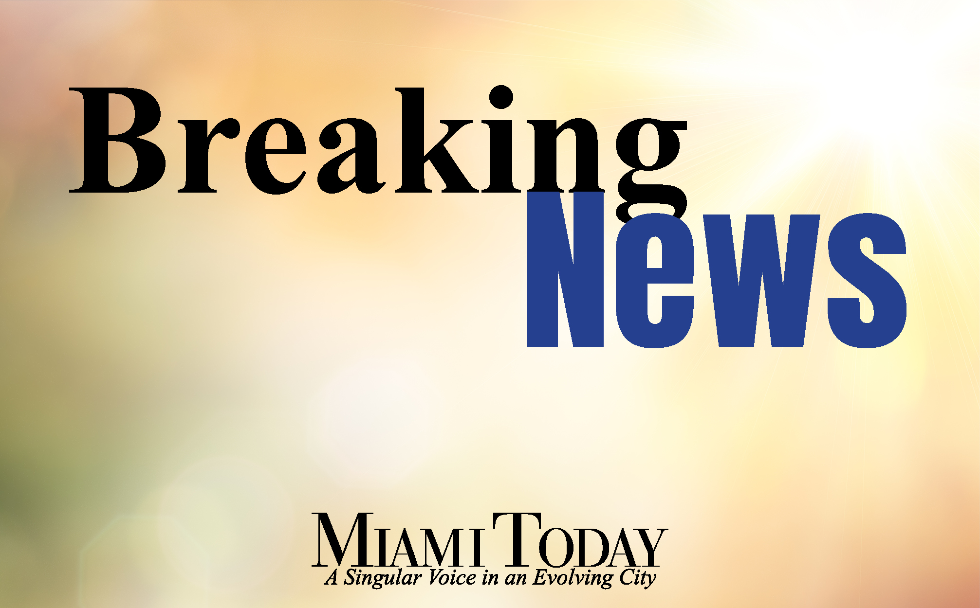 Coral Gables budgets $1 million for bronze mural at mobility hub