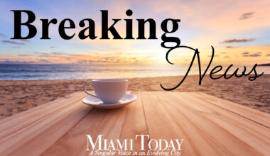 Fully funded bridge to soccer stadium in transit plans