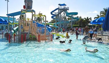 Splash the Day Away at Pooch Plunge