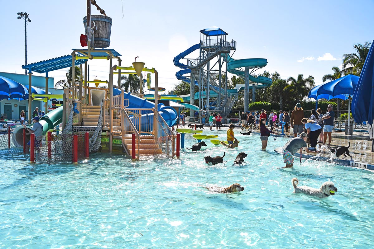 Splash the Day Away at Pooch Plunge