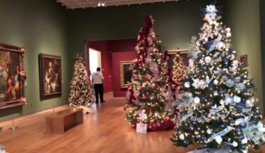 Orlando Museum of Art's annual Festival of Trees display dazzles visitors
