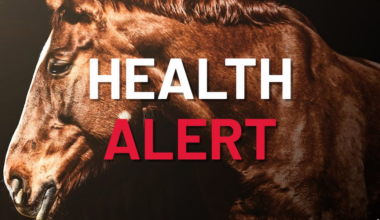 Florida issues horse health alert after Texas viral outbreak
