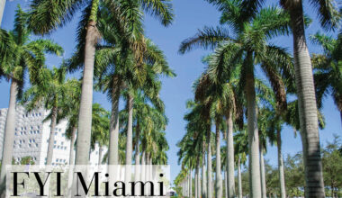 FYI Miami: November 13, 2025