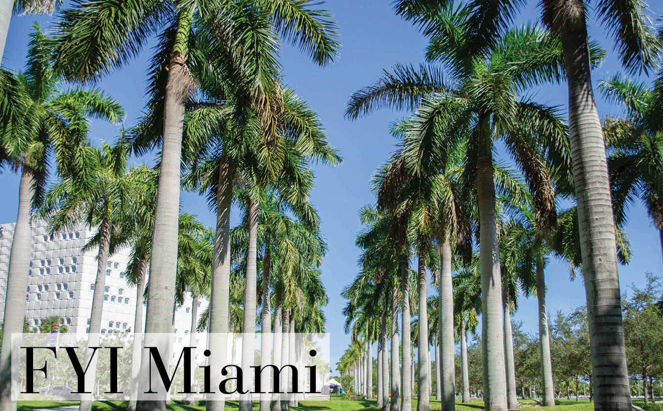 FYI Miami: November 13, 2025