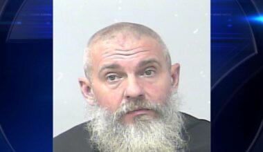 ‘How many eggs chickens can lay’: Florida man fires shots after pub argument over chickens - WSVN 7News | Miami News, Weather, Sports