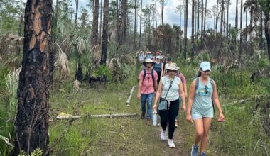 photo of a group of people hiking on a trail amid trees and palms