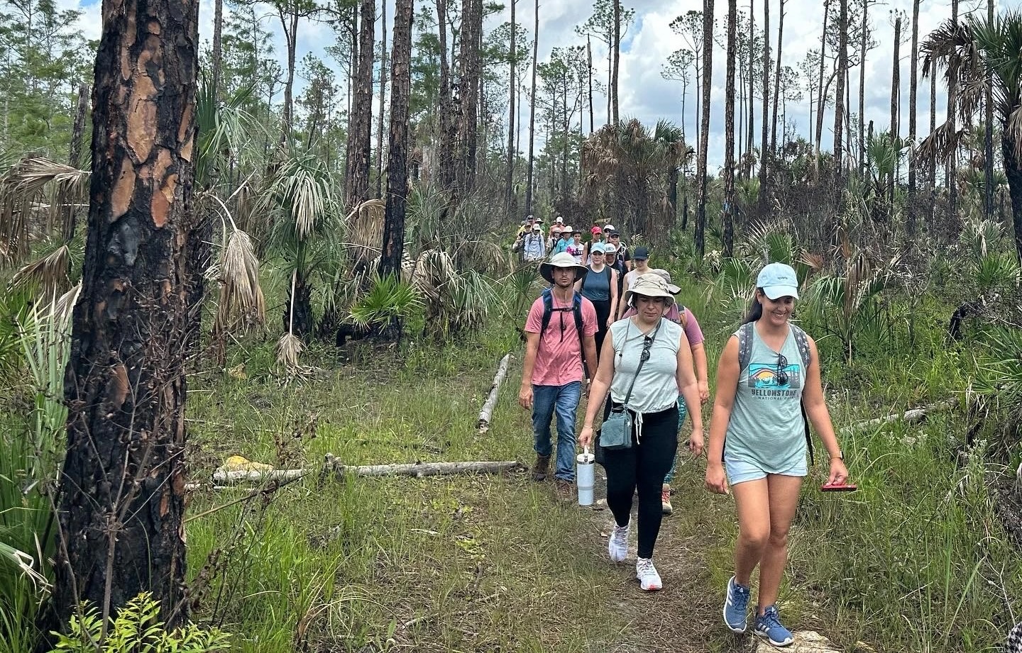 photo of a group of people hiking on a trail amid trees and palms