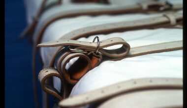 Child murderer dies by lethal injection as Florida breaks state execution records