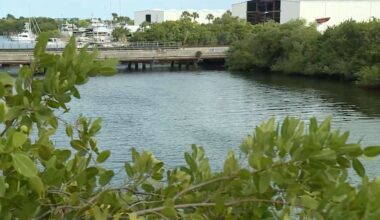 St. Lucie County Sheriff’s Office investigating body found floating in Taylor Creek