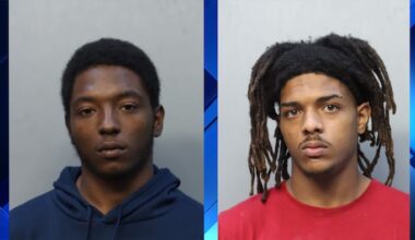 Duo busted at nearby Metrorail station after Allapattah armed robbery, cops say