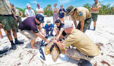 Turning conservation into an innovation economy