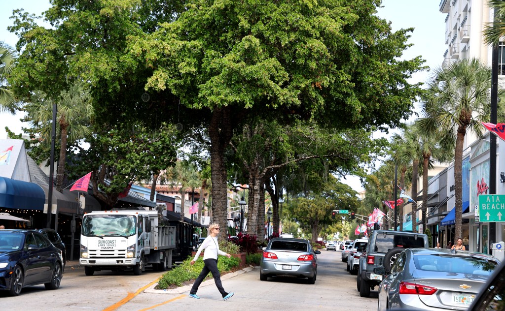 Plant 276,000 trees by 2040