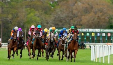 Who offers the best value for bettors?